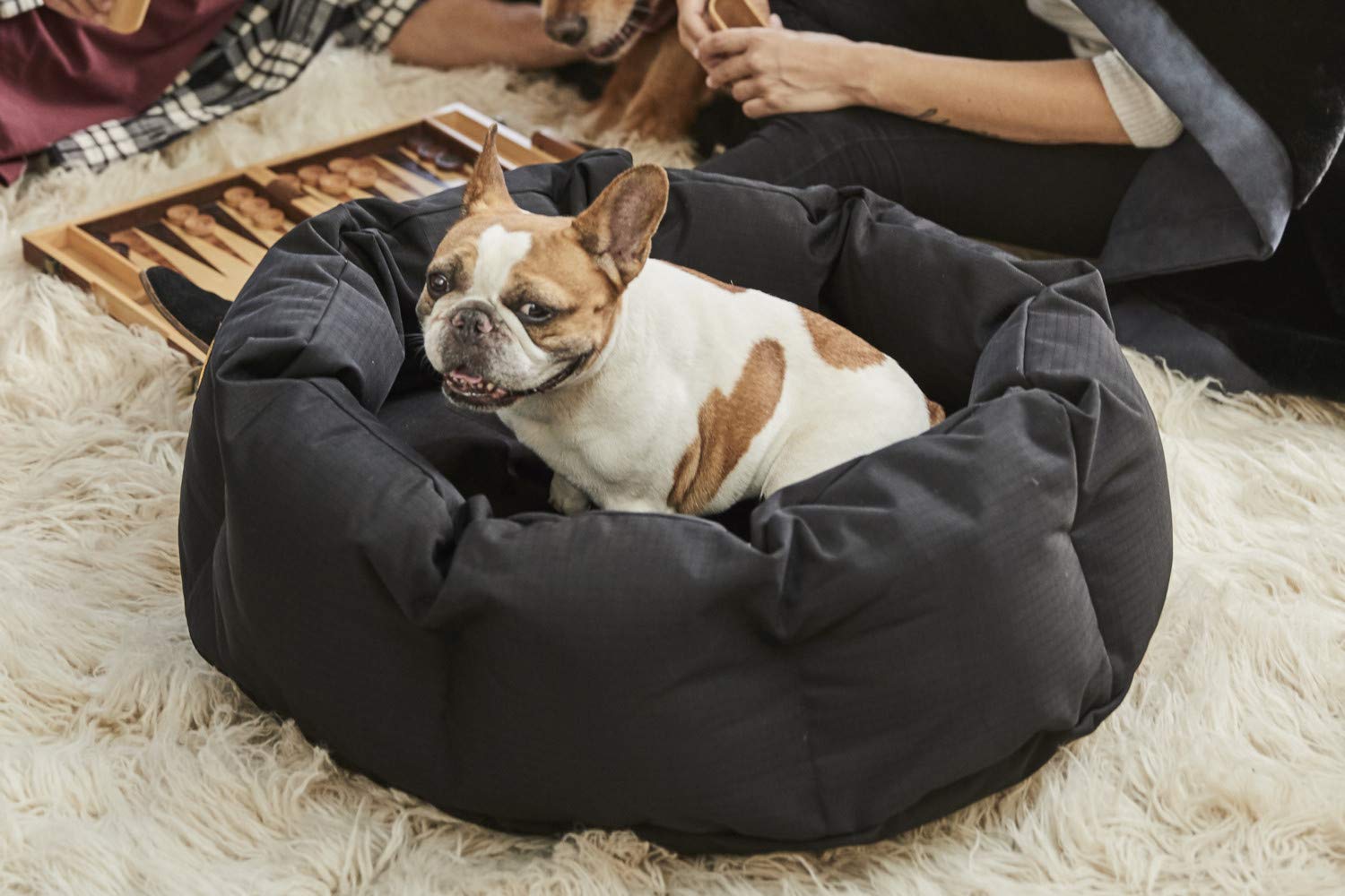 k9 ballistic bed reviews