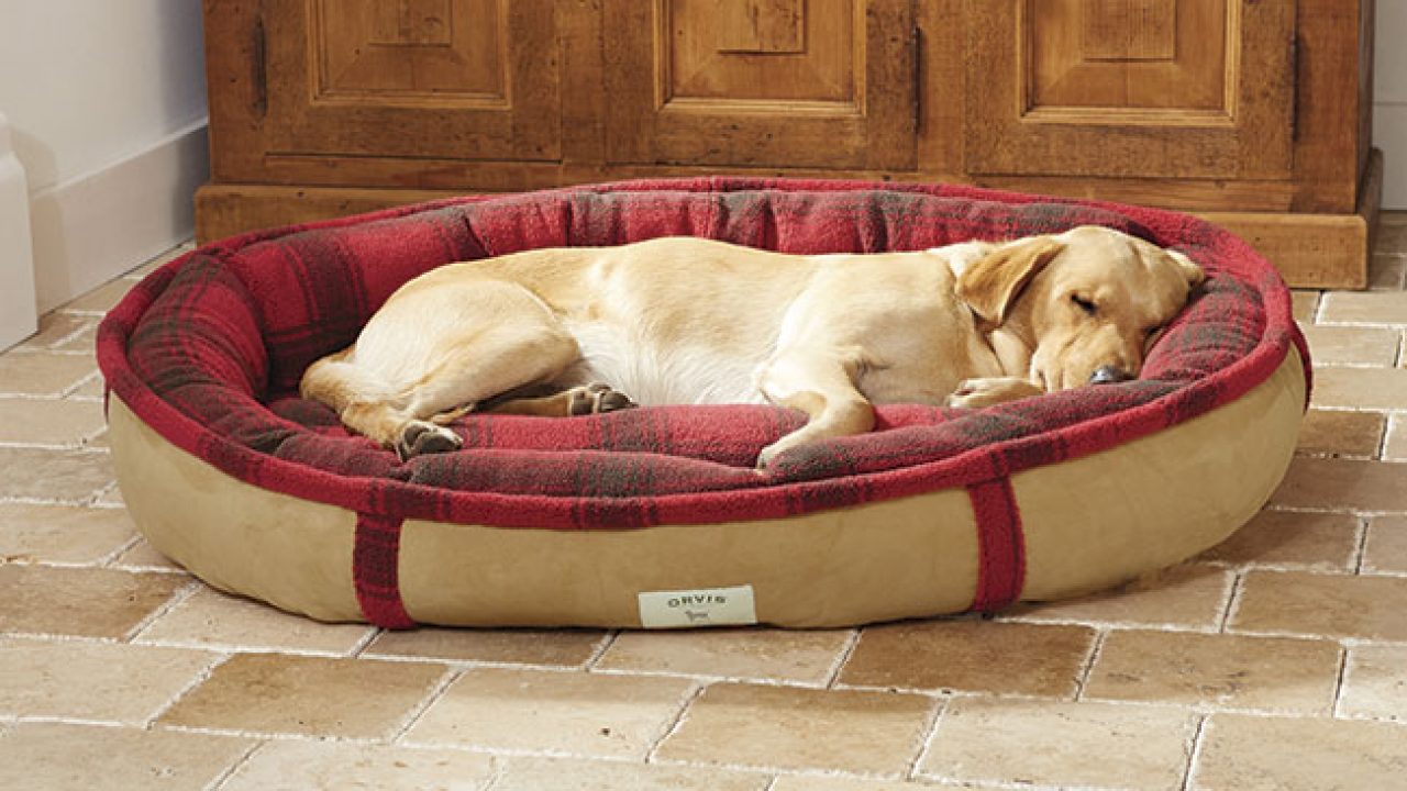orvis round dog bed