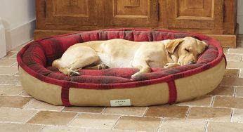 how to wash dog bed with stuffing