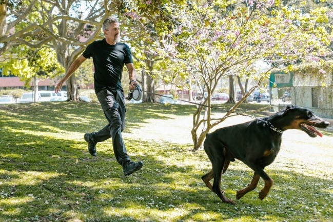 Leash Pulling