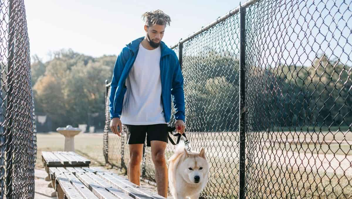 Training Dog on Electric Fence